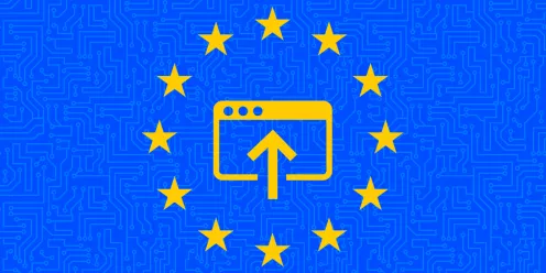 Advancing Platform Research through the EU Digital Services Act